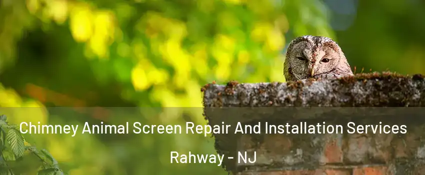  Chimney Animal Screen Repair And Installation Services Rahway - NJ