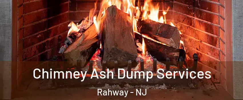  Chimney Ash Dump Services Rahway - NJ