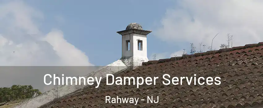  Chimney Damper Services Rahway - NJ