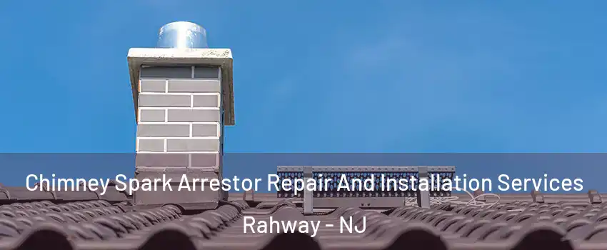  Chimney Spark Arrestor Repair And Installation Services Rahway - NJ