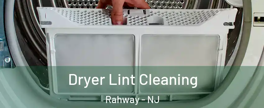  Dryer Lint Cleaning Rahway - NJ