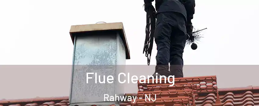  Flue Cleaning Rahway - NJ