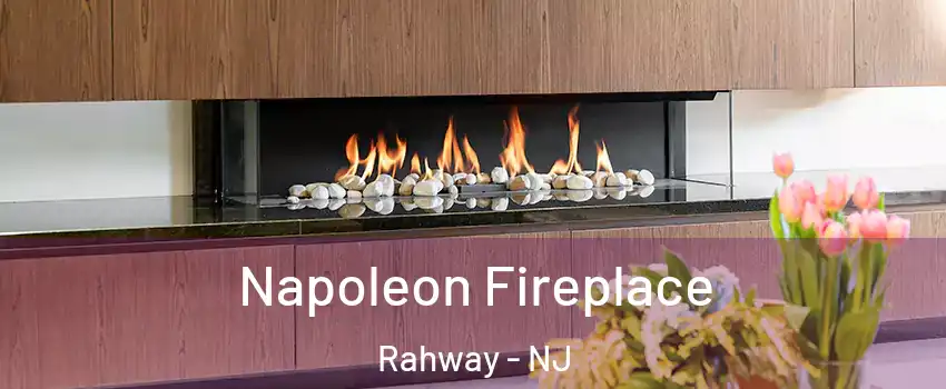  Napoleon Fireplace Rahway - NJ